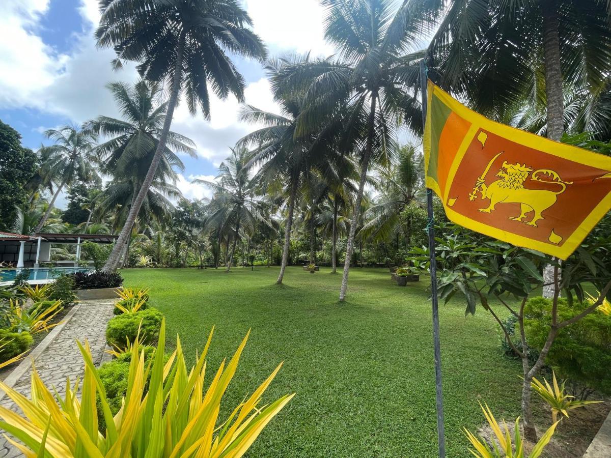 Why Not Mansion Hostel Habaraduwa ภายนอก รูปภาพ